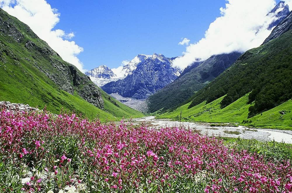 Valley of Flowers Trek
